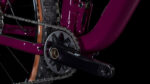 Cube Stereo ONE22 Race wine´n´grey – Bild 6
