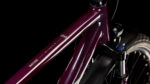Cube Nature ONE Allroad amarone´n´lunar – Bild 7