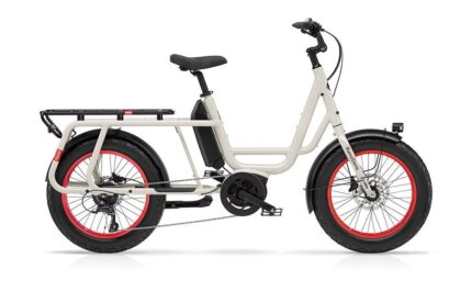Benno Bikes RemiDemi 9D XL 545 Wh 20 Zoll 2024 2.jpg