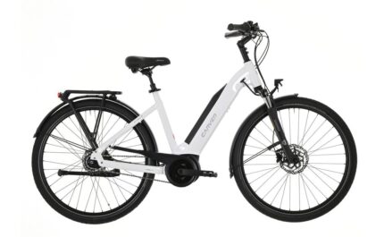 Carver Cityzen E.410 FL 400 Wh 28 Zoll Tiefeinsteiger 2025.01 1.jpg
