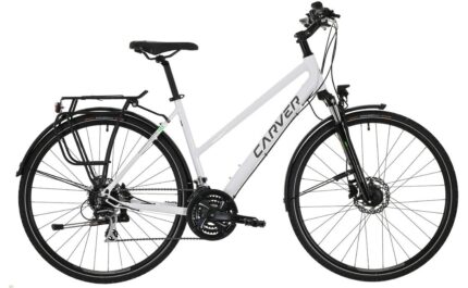 Carver Route 110 28 Zoll Damen Sport 2024.01 1.jpg