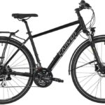 Carver Route 110 - 28 Zoll - Diamant - 2024