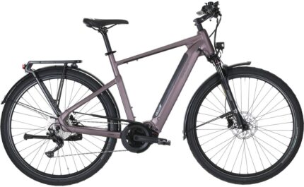 Carver Route E.520 625 Wh 28 Zoll 2026 2.jpg