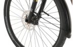 Carver Route E.530 - 625 Wh - 28 Zoll 2026 – Bild 6