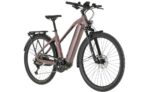 Carver Route E.530 - 625 Wh - 28 Zoll 2026 – Bild 8