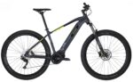 Carver Strict E.410 - 500 Wh - 29 Zoll 2025 – Bild 2