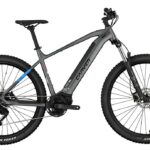 Carver Strict E.410 LTD - 500 Wh - 29 Zoll