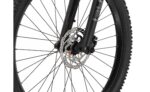 Carver Strict E.510 - 500 Wh - 29 Zoll - Diamant – Bild 5