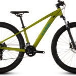 Cube Acid 260 Disc lizard´n´blue