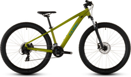 Cube Acid 260 Disc lizard´n´blue.jpg