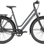 Gazelle Chamonix S11 Low-Step