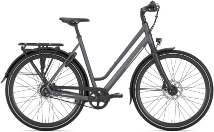 Gazelle Chamonix S11 Low Step.jpg