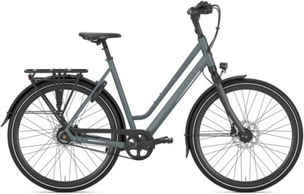 Gazelle Chamonix S8 Low Step.jpg