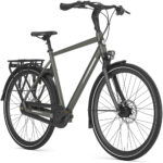 Gazelle Chamonix C8 – Bild 2