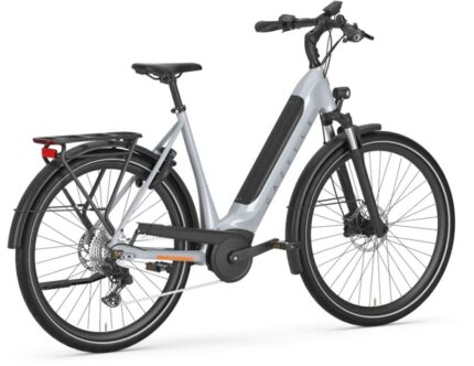 Gazelle G3605 20160758 Ultimate T10 Low Step 2 800x800.jpg