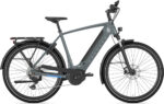 Gazelle Ultimate T10 – Bild 2