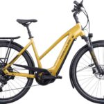 Hercules Futura I-10 625 Lady Gold