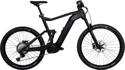 KB131 IBKD41 QUADRIGA DUO CX12 FS 1250W Akku.jpg