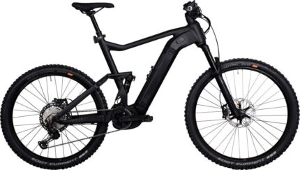 KB131 IBKD41 QUADRIGA DUO CX12 FS 1250W Akku 800x800 2.jpg