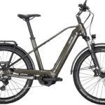 Kettler Quadriga Town & Country CX10 LG 625W-Akku Diamant