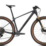 Radon JEALOUS 9.0