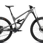 Radon SWOOP 9.0