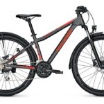 Raleigh Daymax 29 Zoll Diamant Aktion
