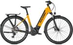 Raleigh Dundee 10 - 625 Wh - 28 Zoll - Tiefeinsteiger - Aktion