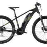Raymon HardRay E 2.0 T350 - 500 Wh - 29 Zoll
