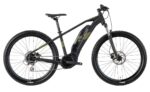 Raymon HardRay E 2.0 T350 - 500 Wh - 29 Zoll