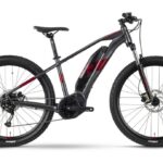 Raymon HardRay E 3.0 T350 - 500 Wh - 29 Zoll 2024