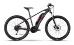 Raymon HardRay E 3.0 T350 - 500 Wh - 29 Zoll 2024