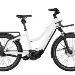 Riese und Müller Multicharger Mixte GT vario 750 - 750 Wh 2023