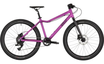 Vilu Disc 24 24 Zoll Diamant 2024 1.jpg