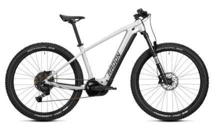 H s website vorlage STAGE 2024 JEALOUS HYBRID 8 0 800x800.jpg
